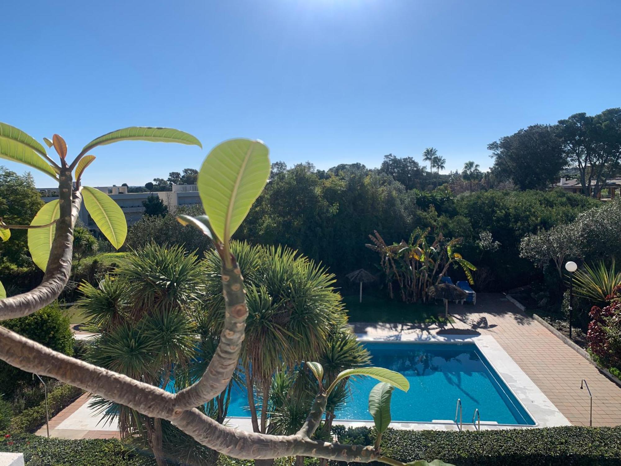 Sotogrande Duplex Near Polo, Best Pool View, 2 Pools, Full South, 7 Drive To Beaches And Port エクステリア 写真